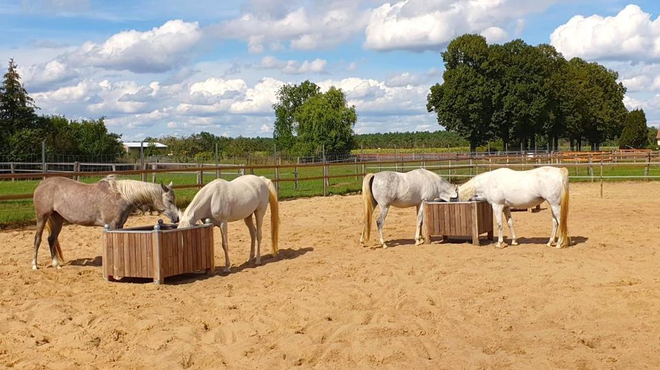 Dachgeschoßwohnung Ziesar - 2 Zimmer, 61 m&sup2;, 380&euro; | Angebot:24744105