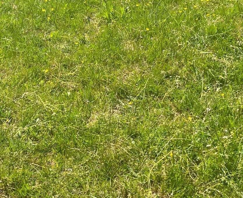 Grundstück in Feldatal 25.150 € 5030 m²