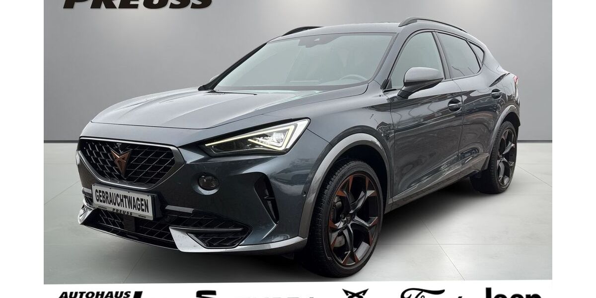 Cupra Formentor 41.798 km 32.995 &euro; Wismar 23966