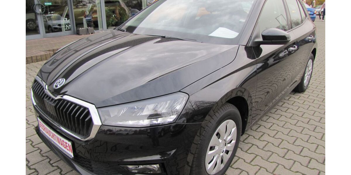 Skoda Fabia 13.100 km 17.990 &euro; Altenburg 04600