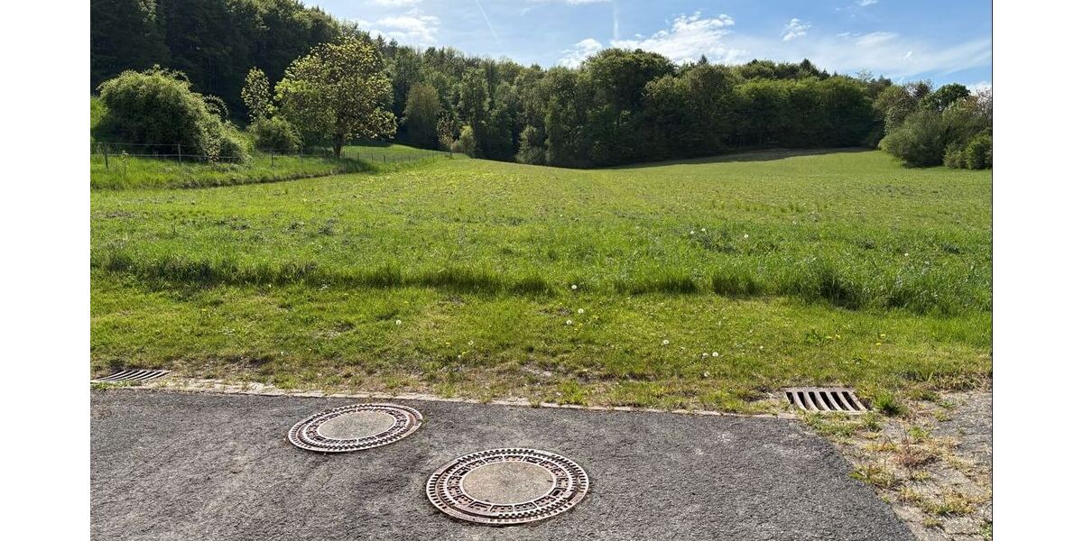 Baugebiet im Dornröschenschlaf - Grundstück Sibbesse Wrisbergholzen | Angebot:26769068