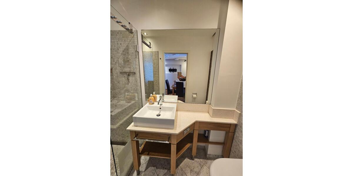 Schönes stilvolles 1-Zimmer Appartment zu vermieten 1 zimmer