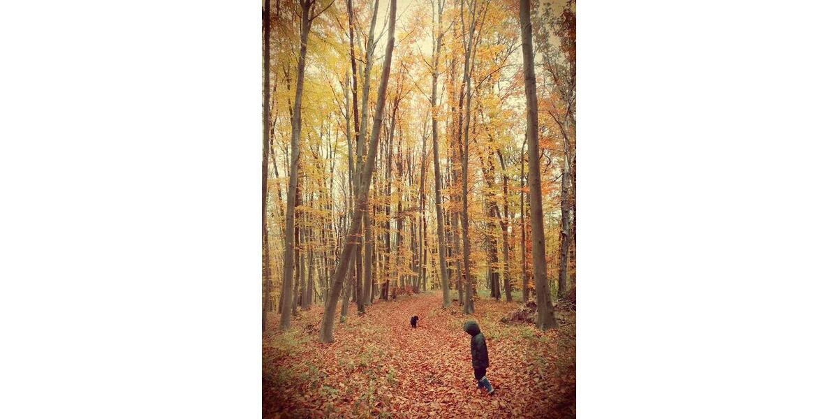 Mehrfamilienhaus, Wohnhaus Bad Bibra - 4 Zimmer, 90 m&sup2;, 500&euro; | Angebot:25791423