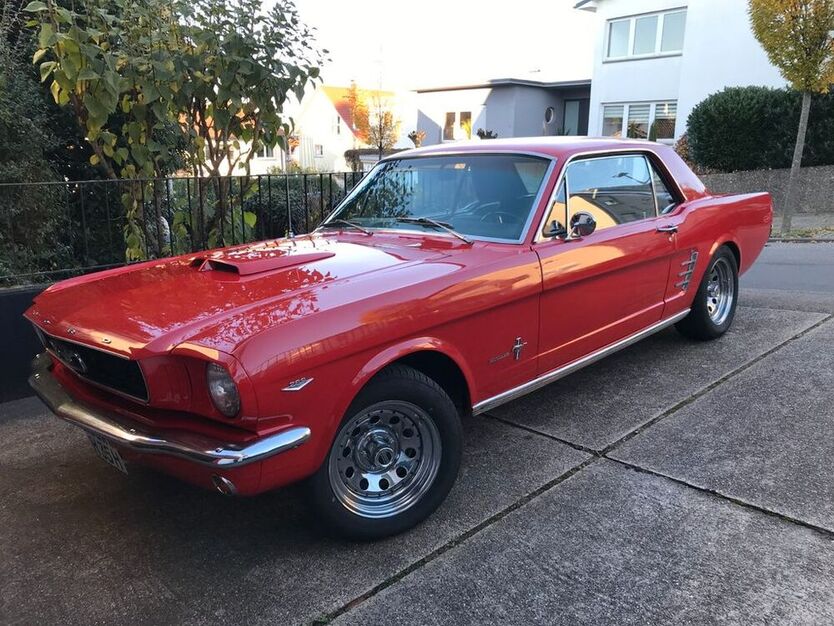 Mustang