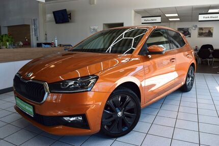 Skoda Fabia 16.242 km 19.650 &euro; Neubrandenburg 17033