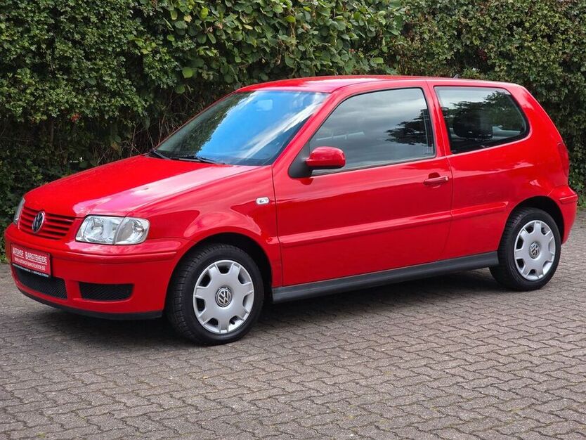 Polo