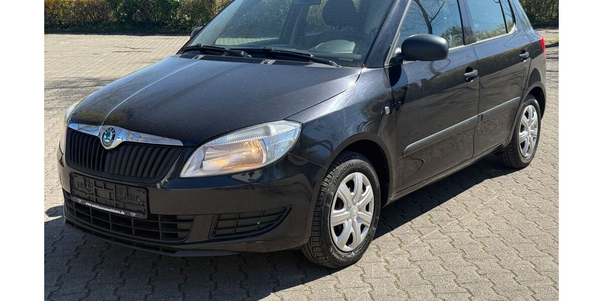 Skoda Fabia 176.000 km 2.999 &euro; Rüsselsheim 65428
