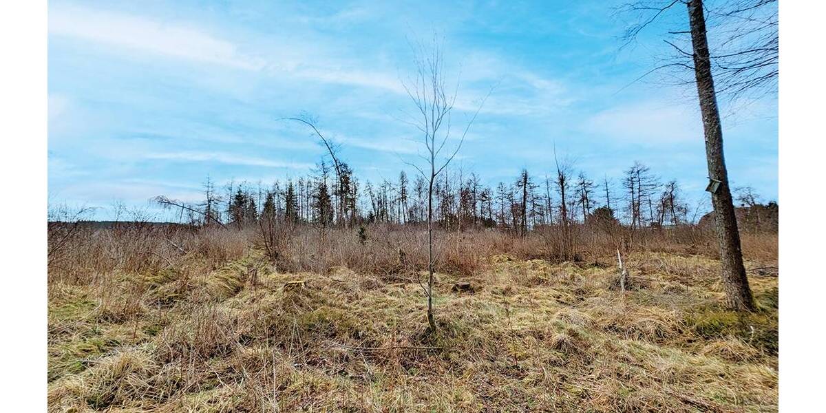 Grundstück Oberharz am Brocken Benneckenstein - 25.000&euro; | Angebot:26246276
