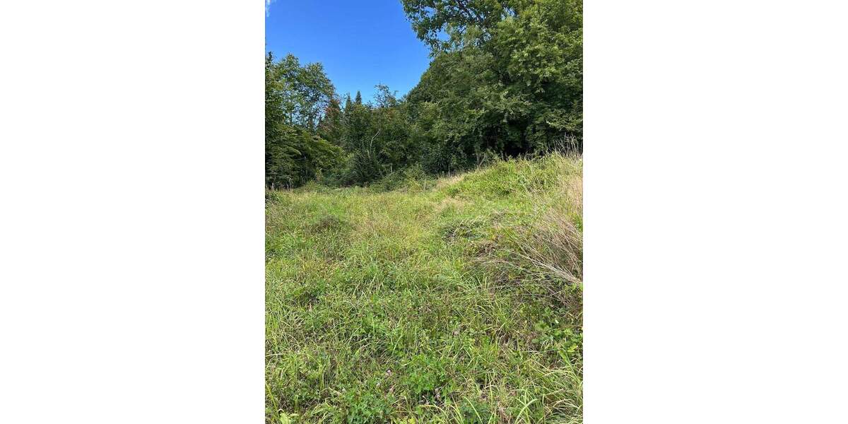 Traumgrundstück mit kleinem Wohn- und Wochenendhaus zimmer