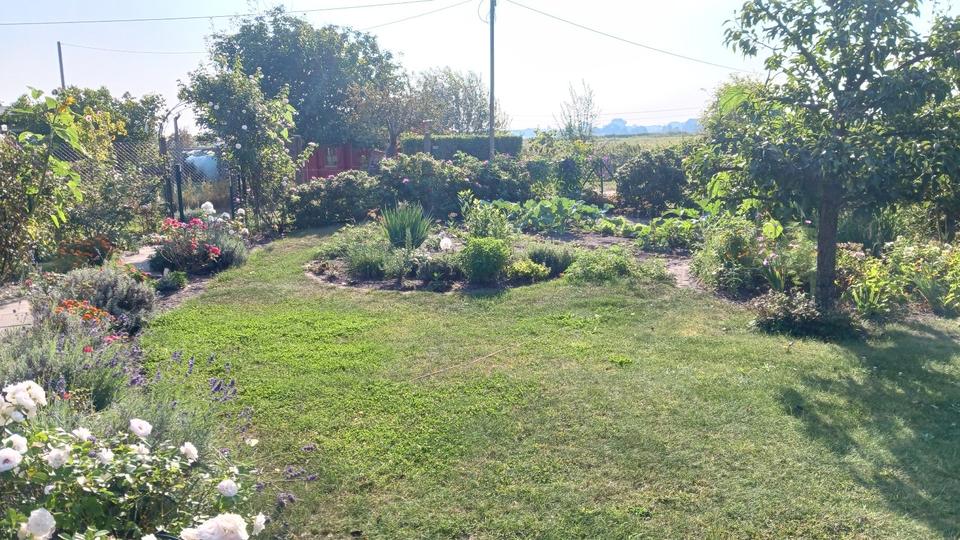 Bungalow Ueckermünde - 1 Zimmer, 45 m&sup2;, 49.000&euro; | Angebot:26321272