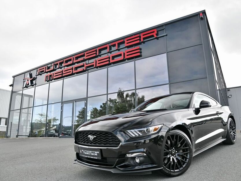 Mustang