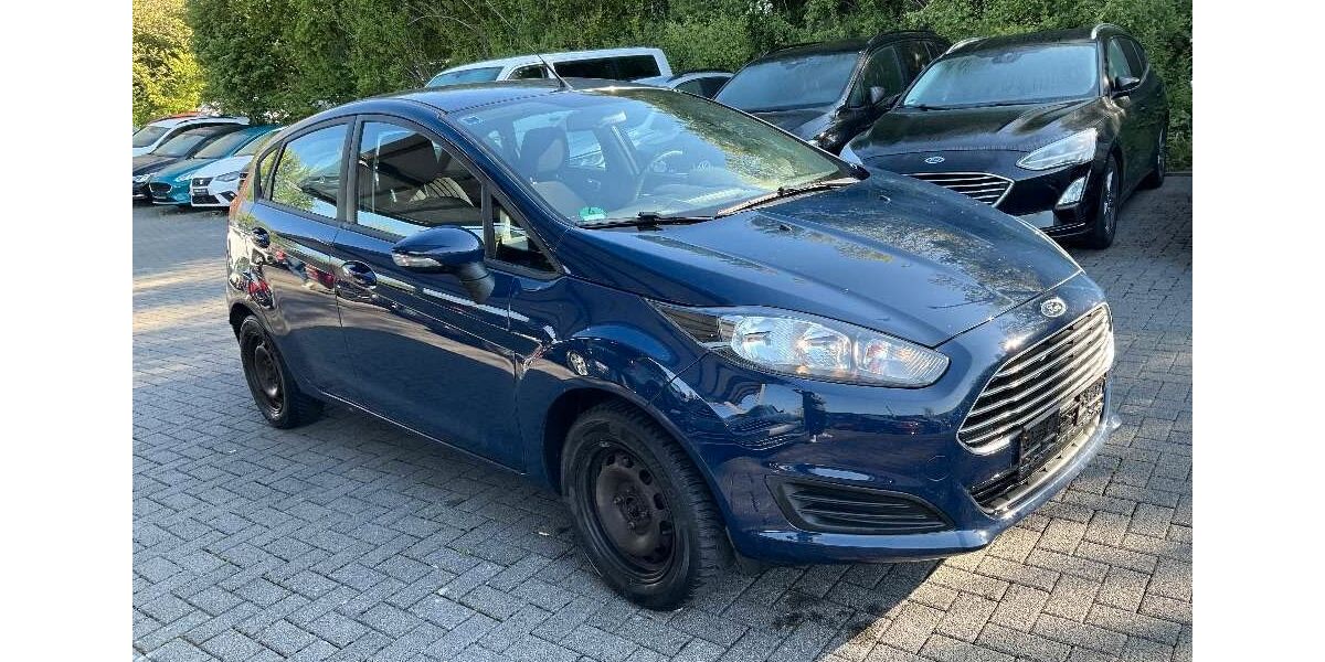 Ford Fiesta 169.800 km 4.490 &euro; Ebersbach 73061