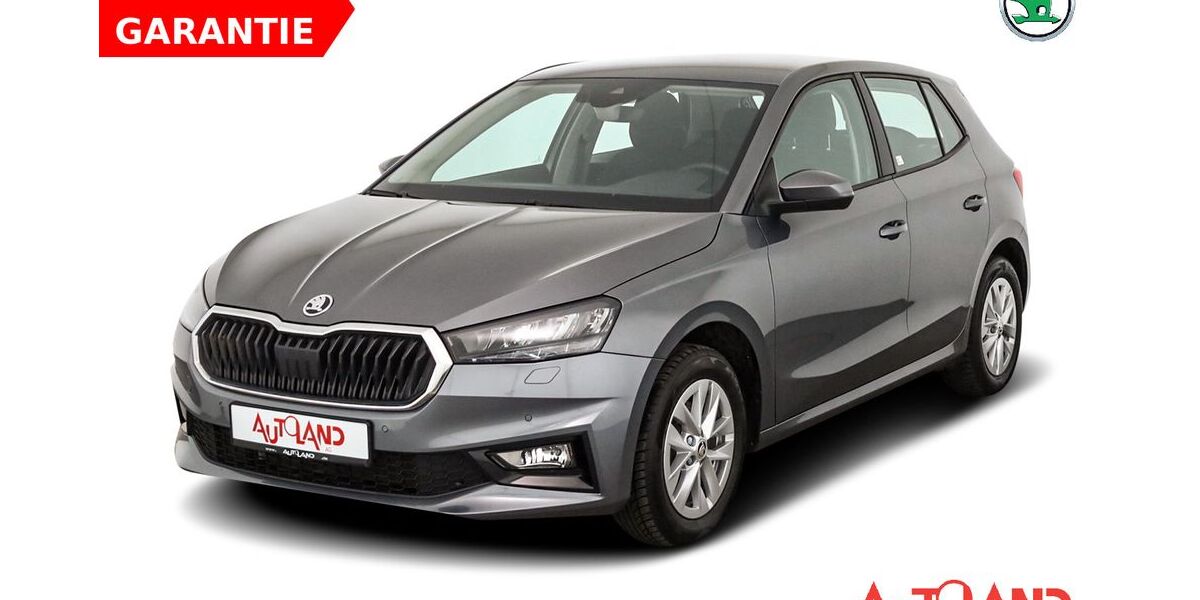 Skoda Fabia 10.803 km 20.890 &euro; Greifswald 17489