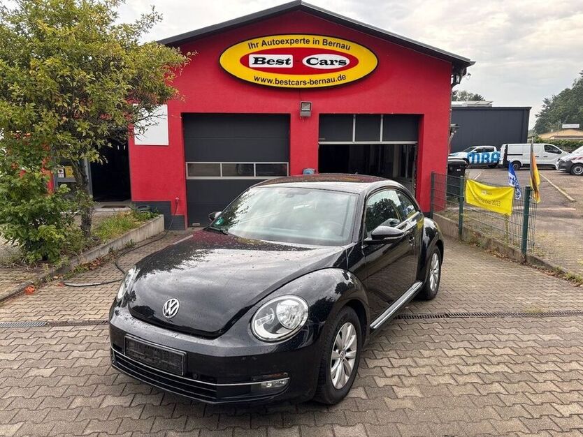 Beetle
