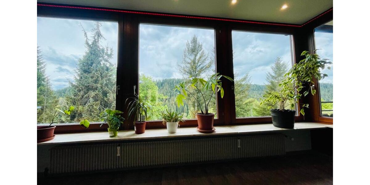 Einfamilienhaus Freudenstadt - 11 Zimmer, 224 m&sup2;, 650.000&euro; | Angebot:26985886