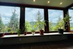 Einfamilienhaus Freudenstadt - 11 Zimmer, 224 m&sup2;, 650.000&euro; | Angebot:26985886
