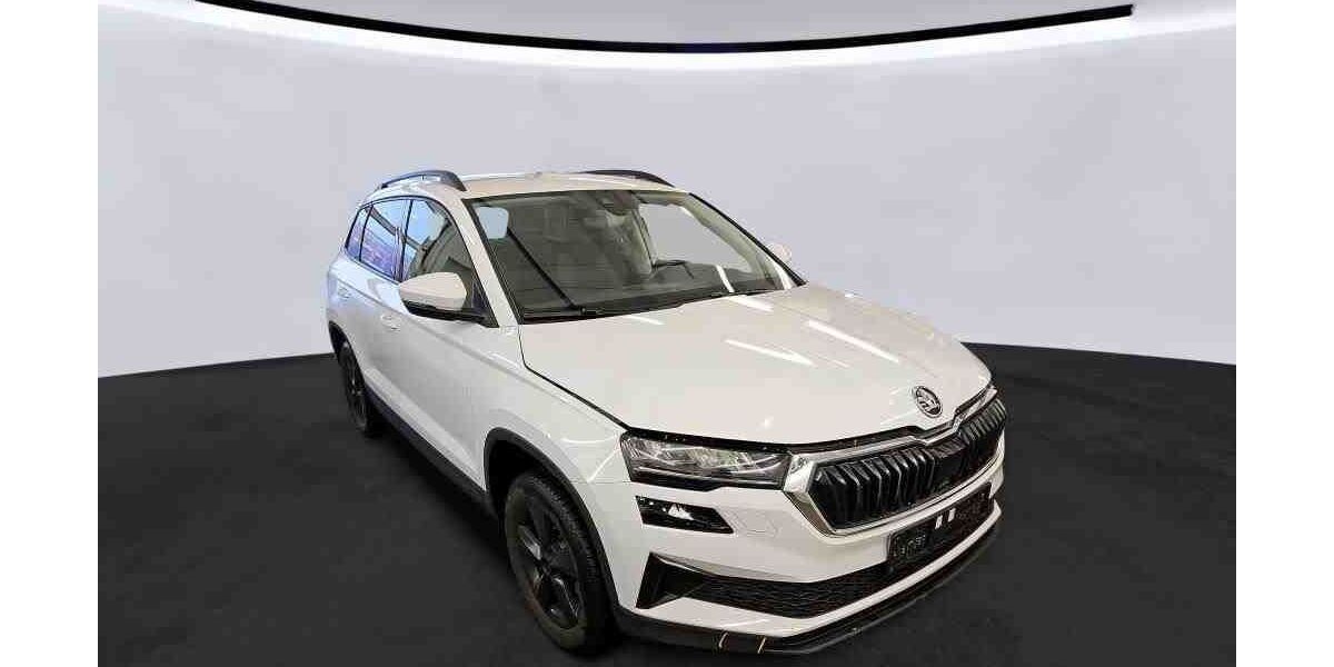 Skoda Karoq 93.900 km 24.500 &euro; Wadgassen 66787