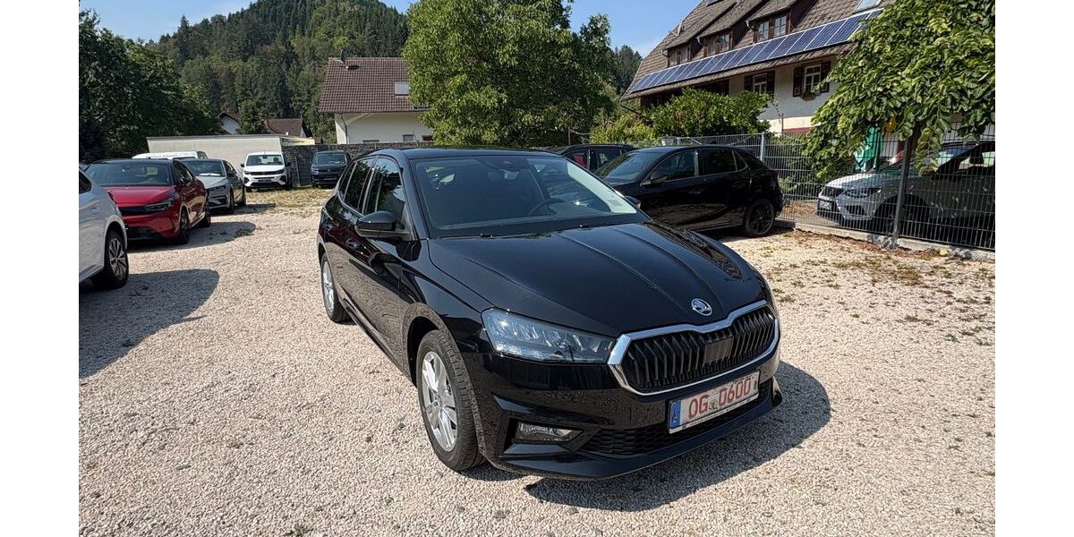 Skoda Fabia 17.100 km 18.990 &euro; Gutach 77793