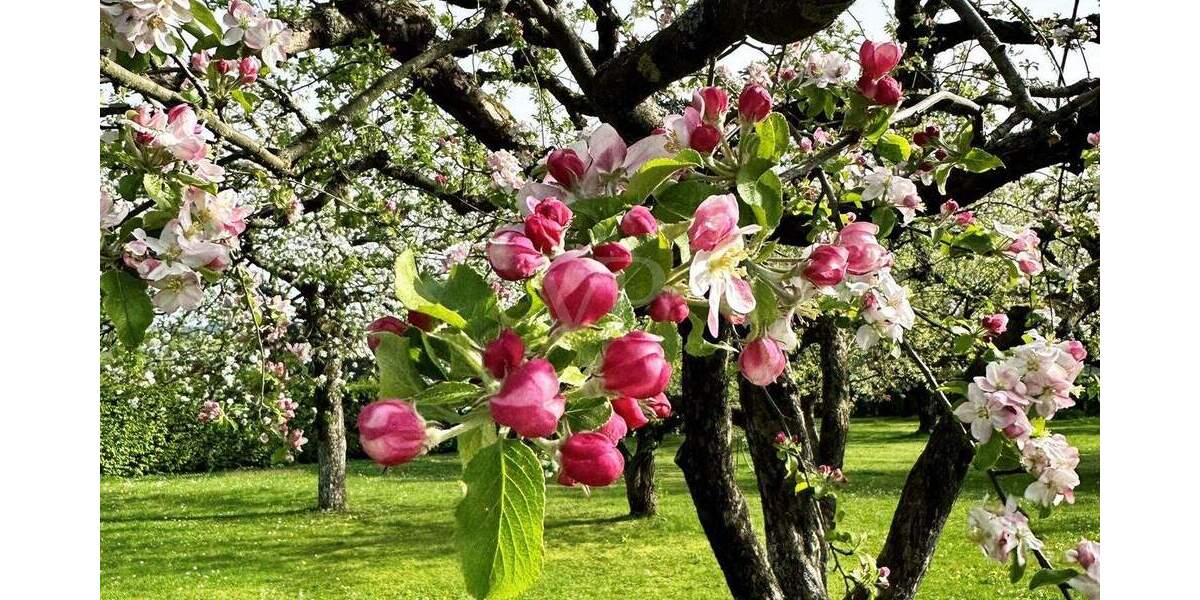 Grundstück Bad Rodach / Heldritt Heldritt - 130.000&euro; | Angebot:25730014