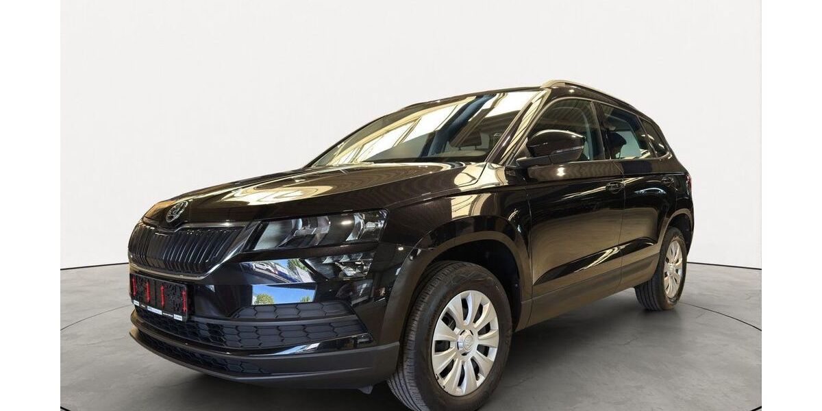 Skoda Karoq 23.682 km 18.150 &euro; Friedberg 61169
