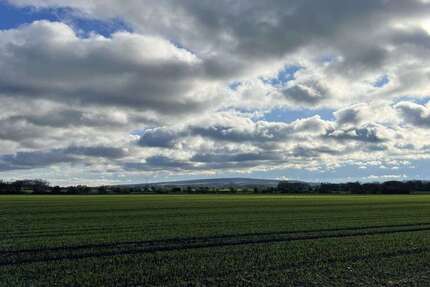 Grundstück Schloßvippach - 105.000&euro; | Angebot:18204230