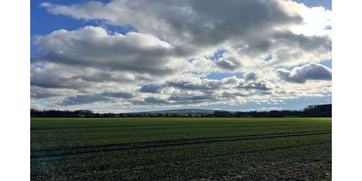 Grundstück Schloßvippach - 105.000&euro; | Angebot:18204230