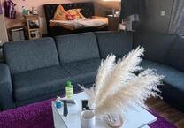 1 Zimmer Apartment mit Loggia in Bodelschwingh