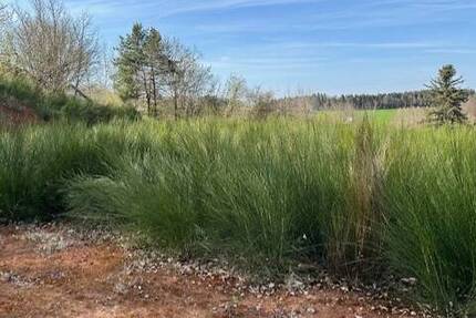 Grundstück Burgthann Grub - 134.500&euro; | Angebot:23953412