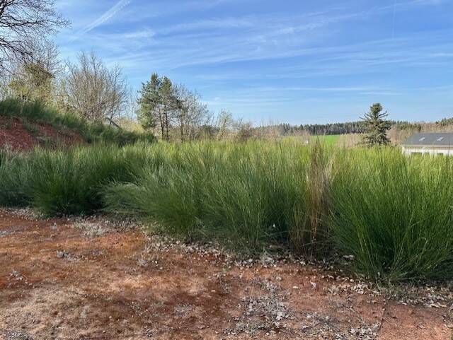 Grundstück Burgthann Grub - 134.500&euro; | Angebot:23953412