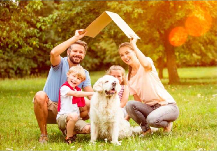 Grundstück Nettersheim - 84.150&euro; | Angebot:26031579