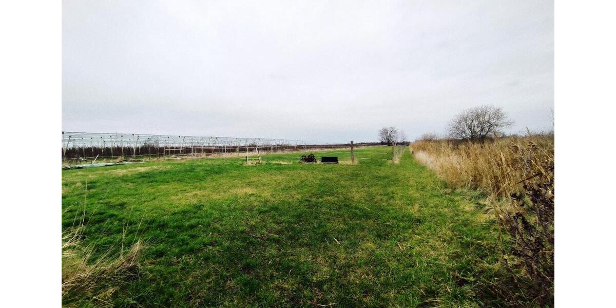 Gewerbeobjekt Jork - 420&euro; | Angebot:24317670