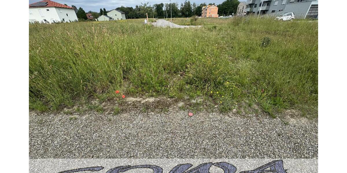 Baugrundstück Neuburg Heinrichsheim ohne Bauzwang - Ein Objekt von Ihrem Immobilienpartner SOWA Immobilien und Finanzen - Grundstück Neuburg | Angebot:27143414