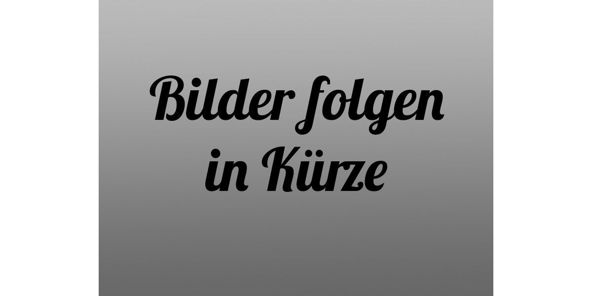 Seat Leon 256.000 km 1.500 &euro; Berlin 10827