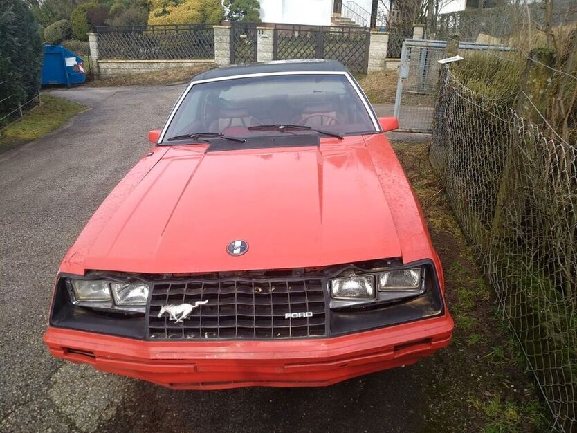 Mustang