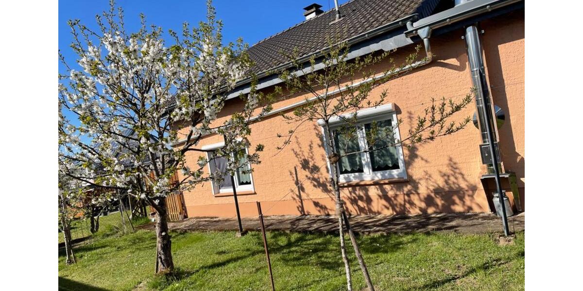 Etagenwohnung Wadern - 3 Zimmer, 85 m&sup2;, 850&euro; | Angebot:26413213