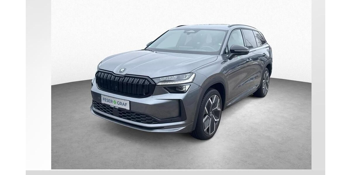 Skoda Kodiaq 8.300 km 51.690 &euro; Roth 91154