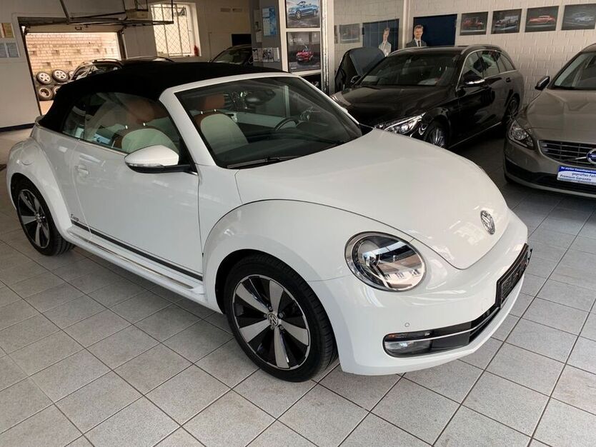 Beetle