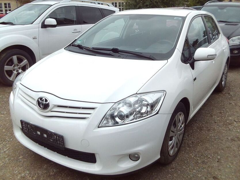Auris