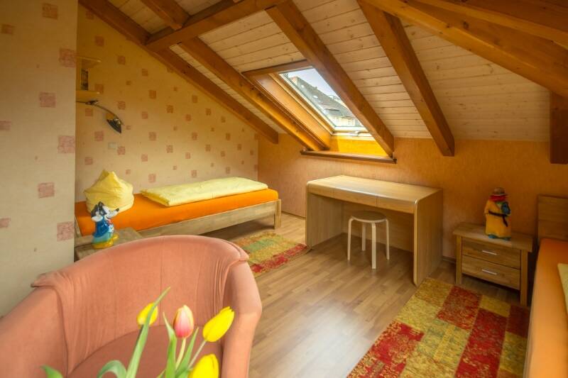 Mehrfamilienhaus, Wohnhaus Sebnitz - 1 Zimmer, 450 m&sup2;, 780.000&euro; | Angebot:26410157