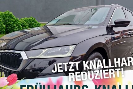 Skoda Octavia 72.931 km 24.790 &euro; Marktredwitz 95615