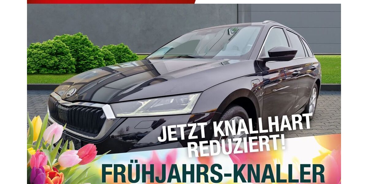 Skoda Octavia 72.931 km 24.790 &euro; Marktredwitz 95615