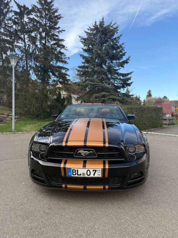 Mustang