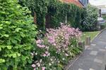 Doppelhaushälfte Paderborn Kernstadt - 7 Zimmer, 170 m&sup2;, 399.900&euro; | Angebot:25686892
