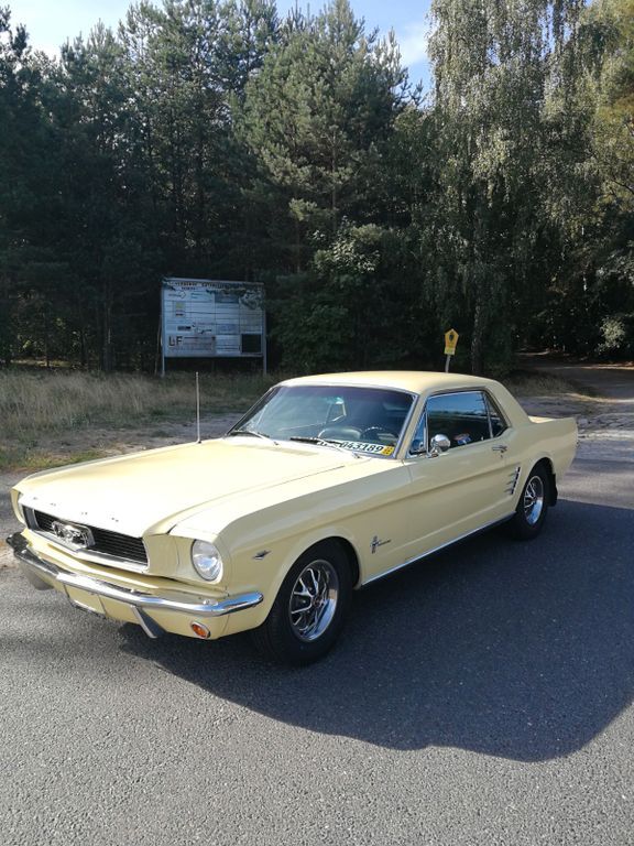 Mustang