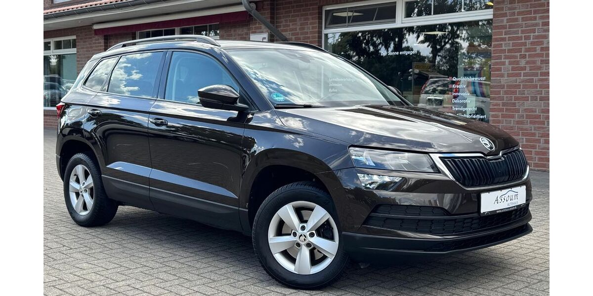 Skoda Karoq 233.011 km 12.999 &euro; Steinfeld 49439