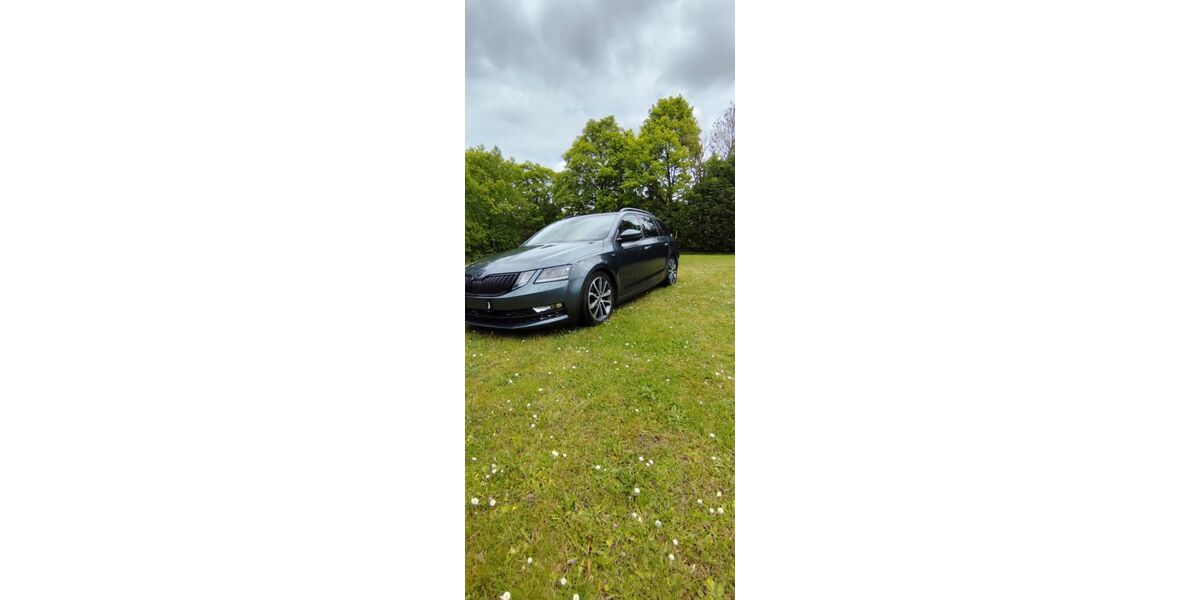 Skoda Octavia 131.000 km 15.500 &euro; Großsolt 24991