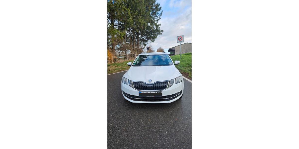 Skoda Octavia 220.000 km 7.900 &euro; Springe 31832