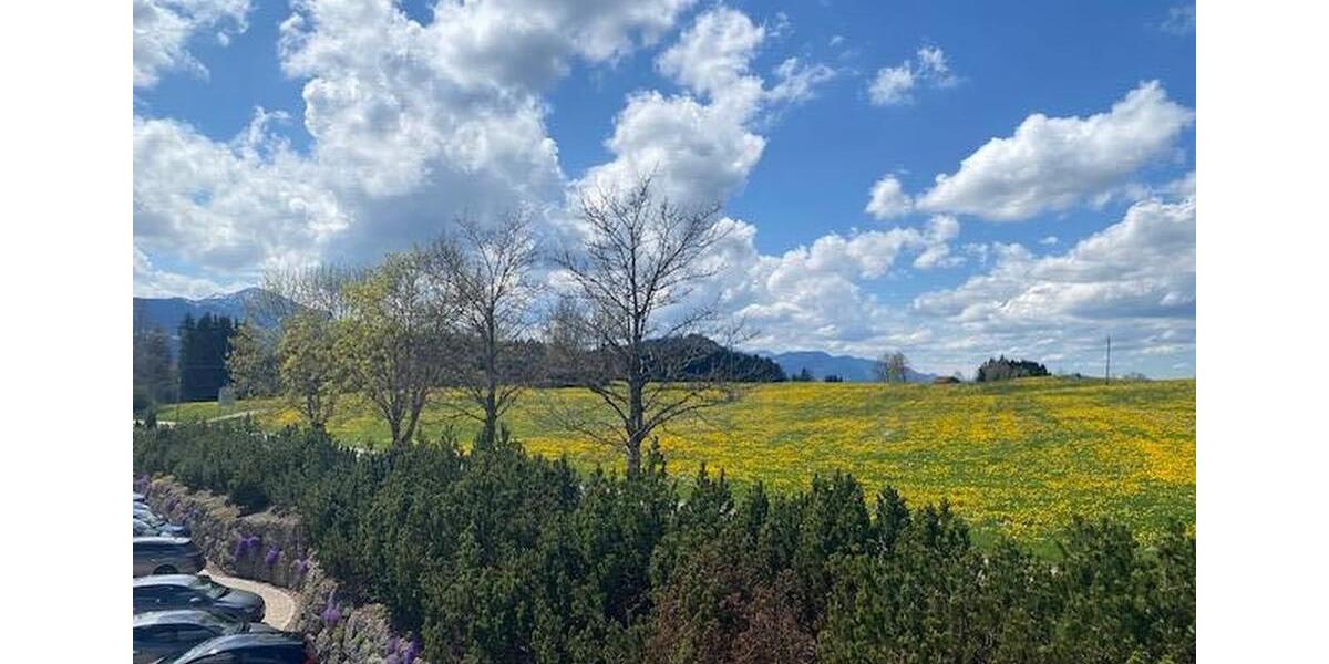 einzigartige BueroGeschäftsräume im Allgäu bei Kempten, See- und Bergsicht und Business-Fengshui zimmer