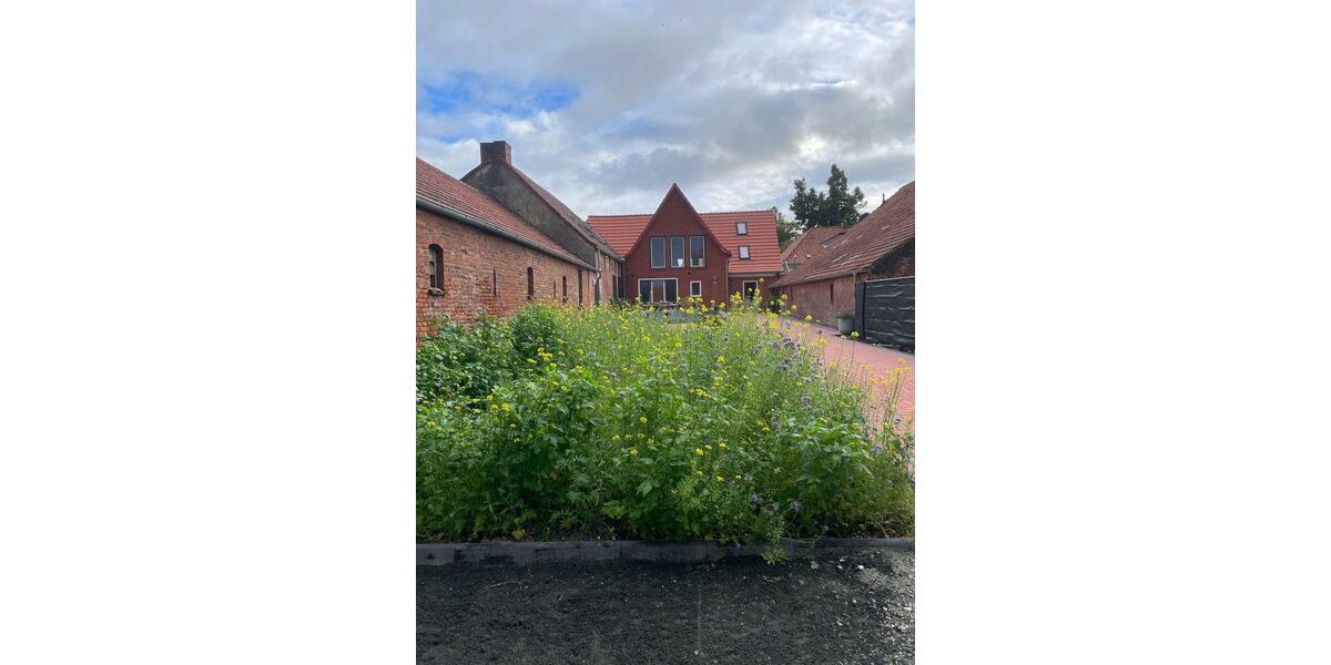 Mehrfamilienhaus, Wohnhaus Hage - 10 Zimmer, 300 m&sup2;, 350&euro; | Angebot:26197226