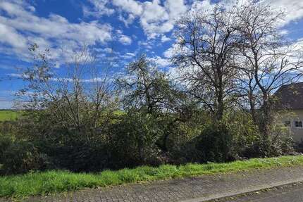 Grundstück Lebach - 61.000&euro; | Angebot:17967691